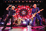 THE WHO by William Snyder